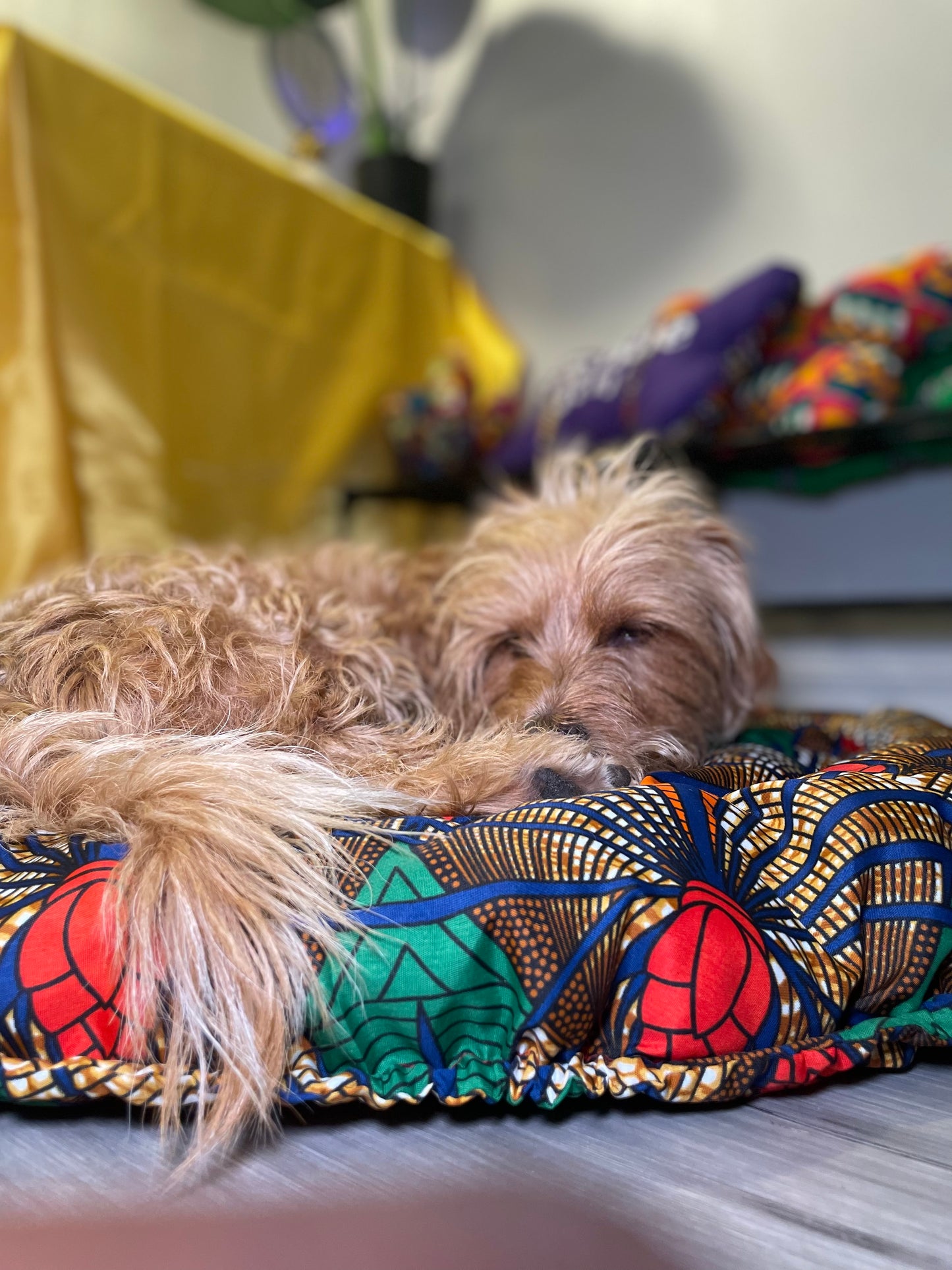 Dog Donut Bed / Adjustable / Machine washable